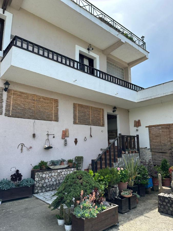 Bed & Breakfast Local Living Edi Berat Luaran gambar